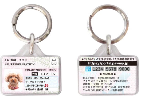 s_s_dog_tag_reversible3-1-600x455