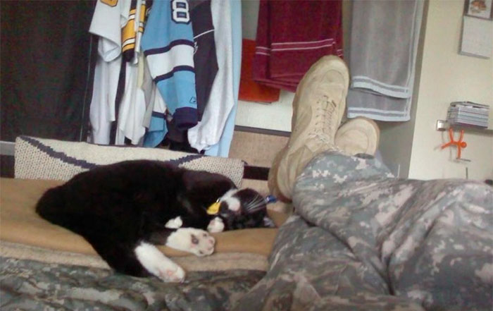 cat-rescue-soldier-life-suicide-scout-josh-marino-7