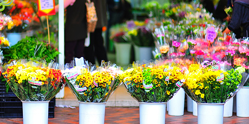 3-2-5-7-flower-market_03